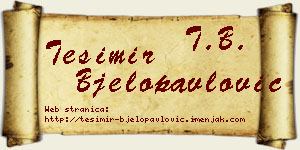 Tešimir Bjelopavlović vizit kartica